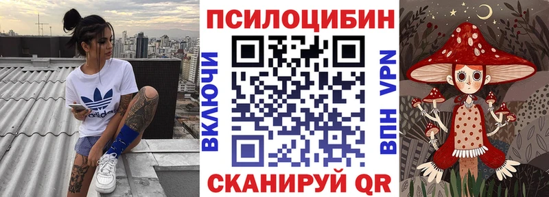 где продают Гвардейск Галлюциногенные грибы прущие грибы